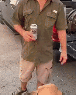 Acid Gifdump, October 03, 2018 (25 gifs)