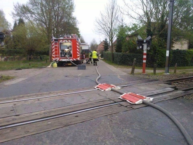 Acid Picdump (95 pics)