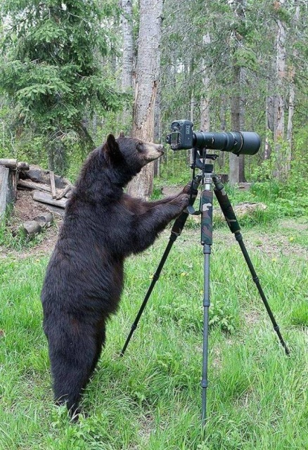 Acid Picdump (95 pics)