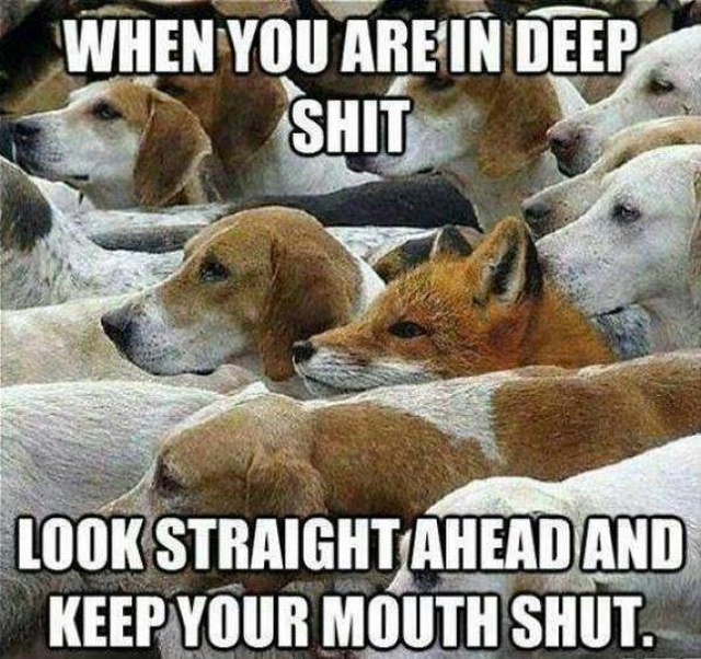Acid Picdump (95 pics)