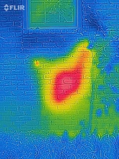 Removal Of A Honeycomb From A House Wall (7 pics)