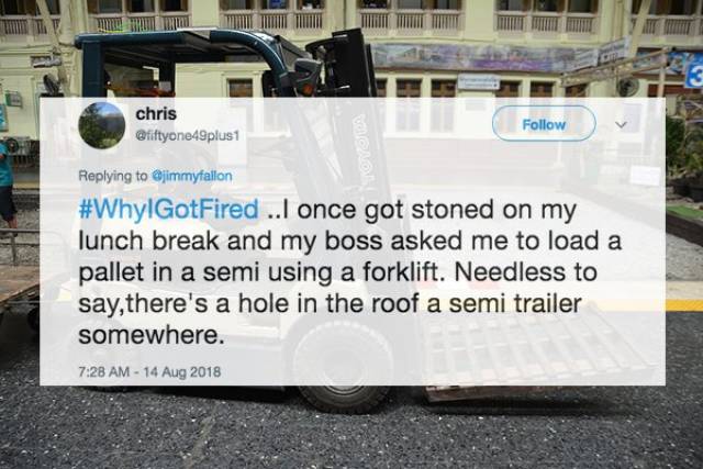 Embarrassing Reasons For Being Fired (24 pics)