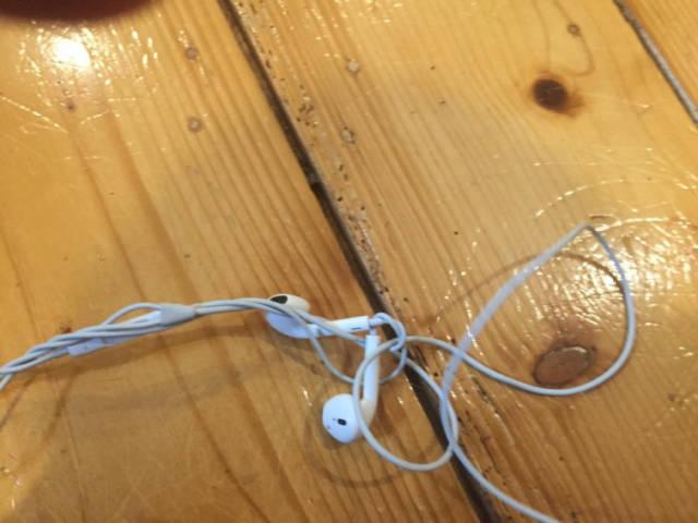 Things We Hate (46 pics)