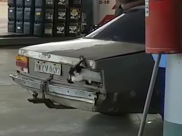 That's A Weird Light