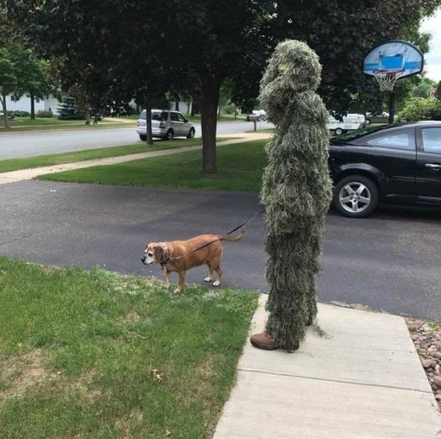 WTF Photos (50 pics)