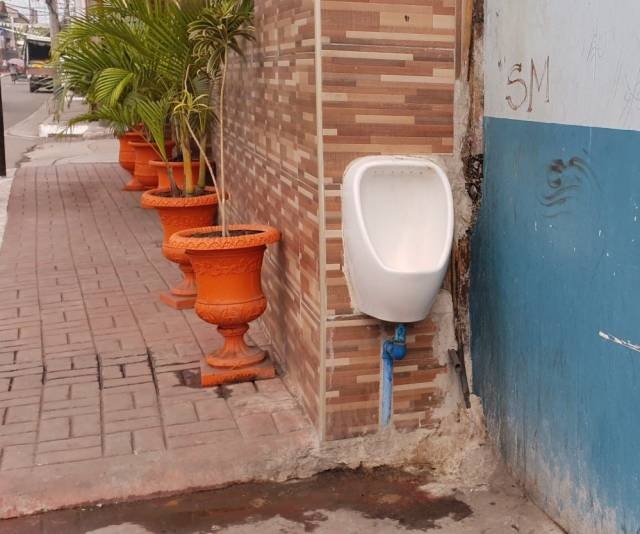 WTF Photos (50 pics)