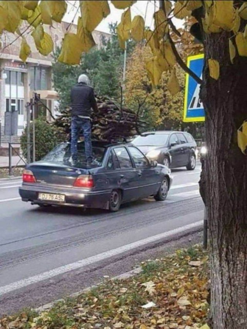 WTF Photos (50 pics)