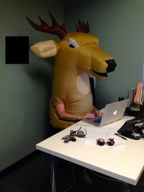WTF Photos (50 pics)