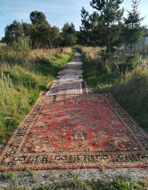 WTF Photos (50 pics)