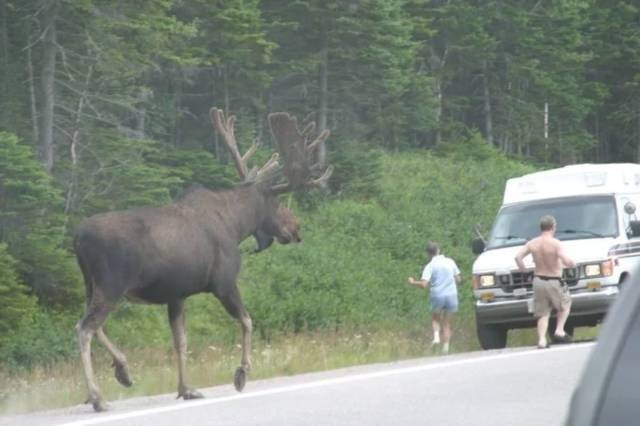 Acid Picdump (90 pics)