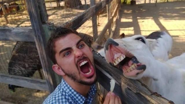 Acid Picdump (90 pics)