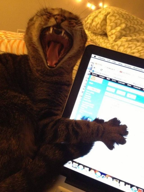 Acid Picdump (90 pics)