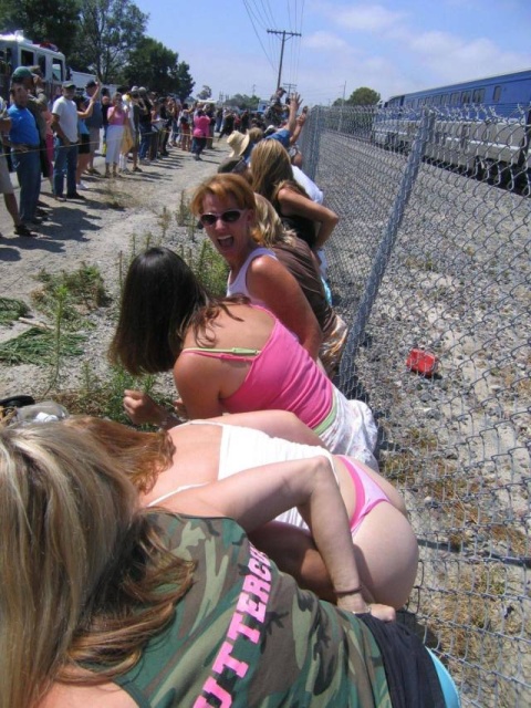Acid Picdump (90 pics)