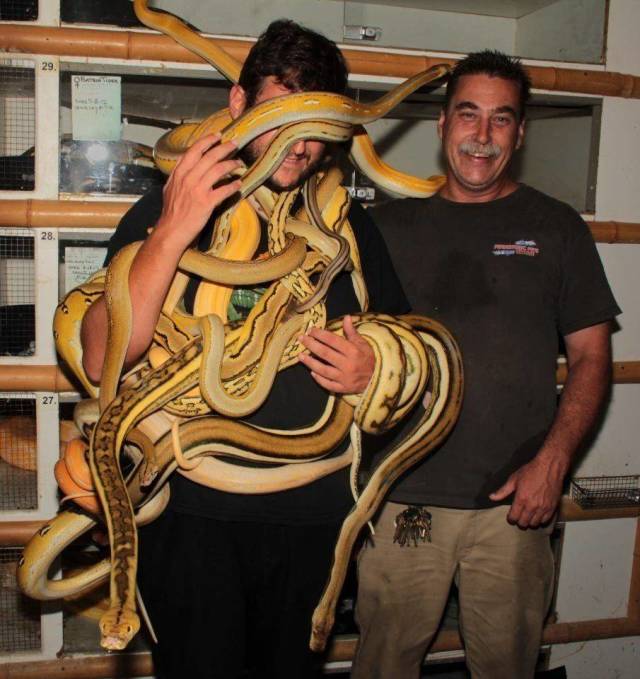 Acid Picdump (90 pics)