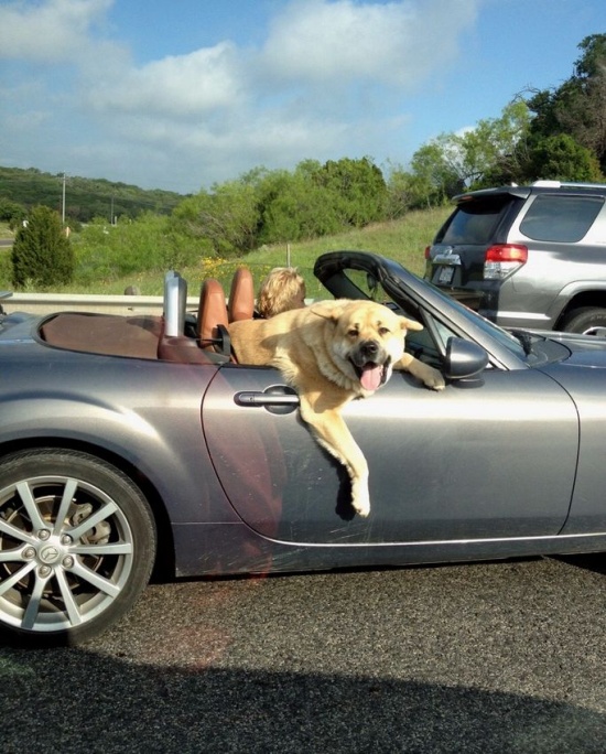 Acid Picdump (90 pics)