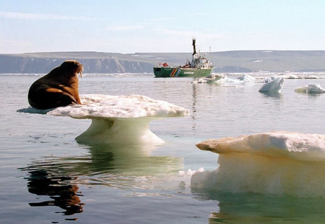 Photos That Prove That Laws Of Physics Don't Always Work (20 pics)