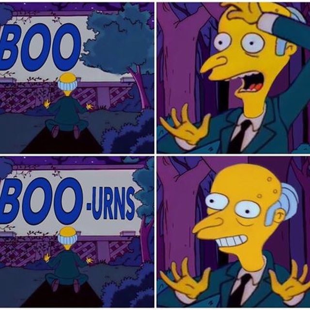 Simpsons Memes (17 pics)
