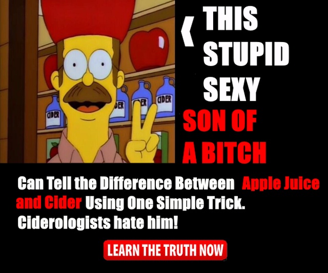Simpsons Memes (17 pics)