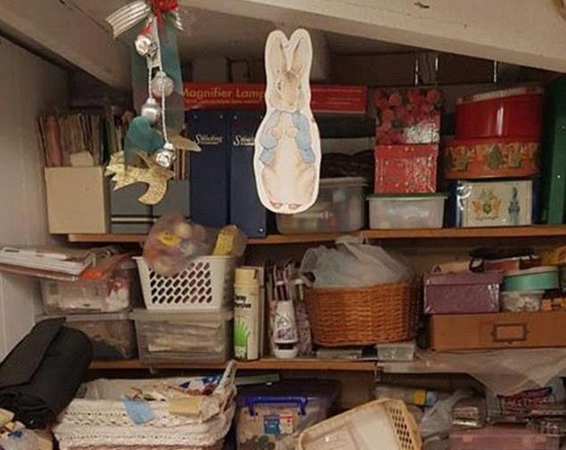 Can You See A Snake In This Photo? (2 pics)