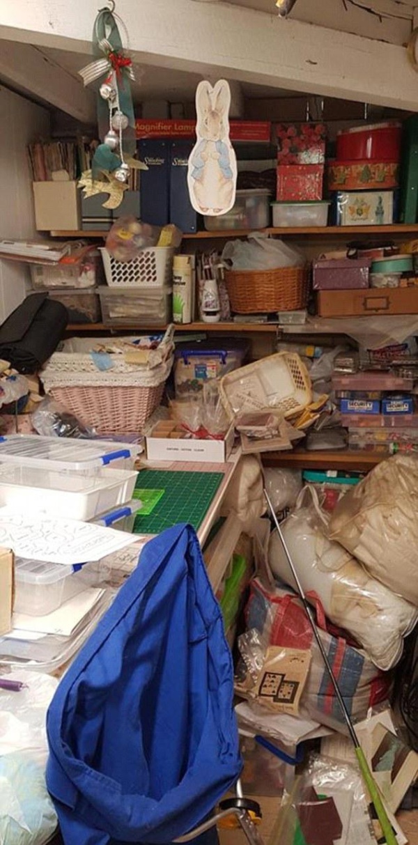 Can You See A Snake In This Photo? (2 pics)
