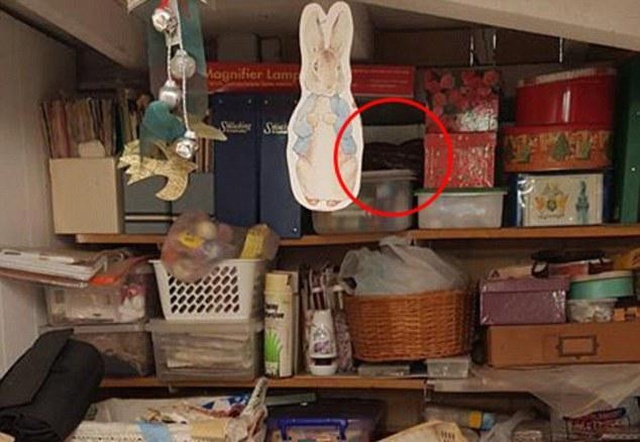 Can You See A Snake In This Photo? (2 pics)