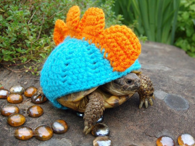 Autumn / Winter 2018 Tortoise Fashion (20 pics)