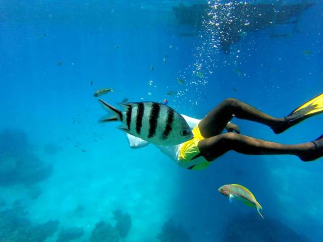 Sh*t Happens Even On Vacation (22 pics)
