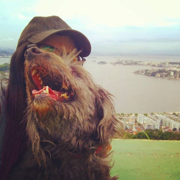 Sh*t Happens Even On Vacation (22 pics)