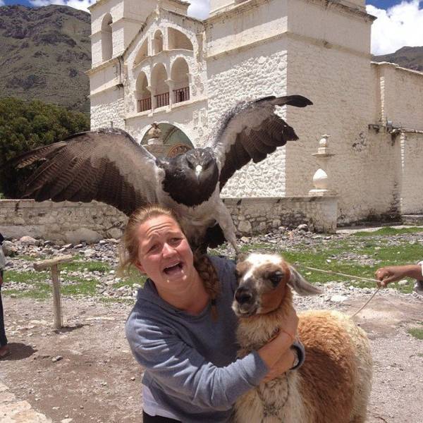 Sh*t Happens Even On Vacation (22 pics)