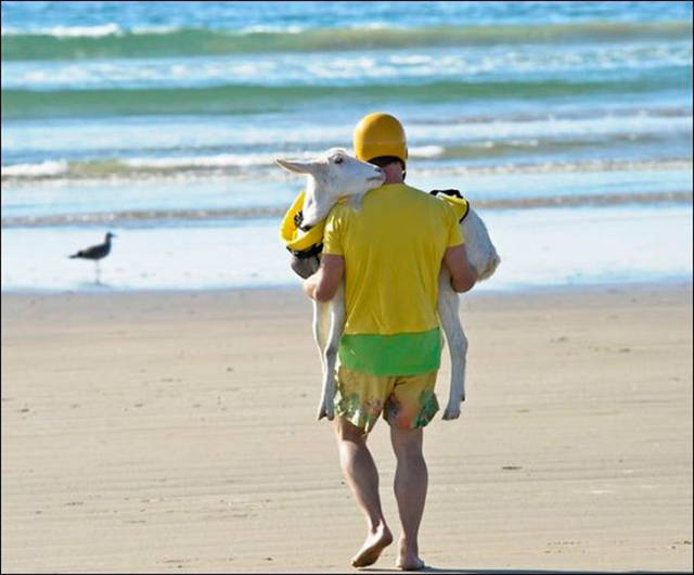 Sh*t Happens Even On Vacation (22 pics)