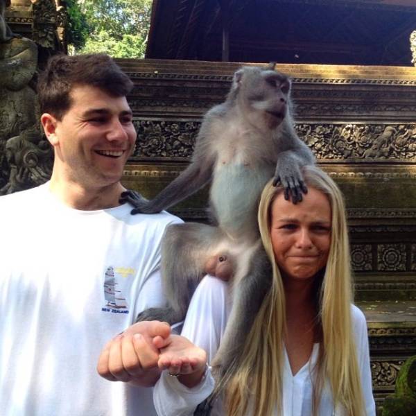 Sh*t Happens Even On Vacation (22 pics)