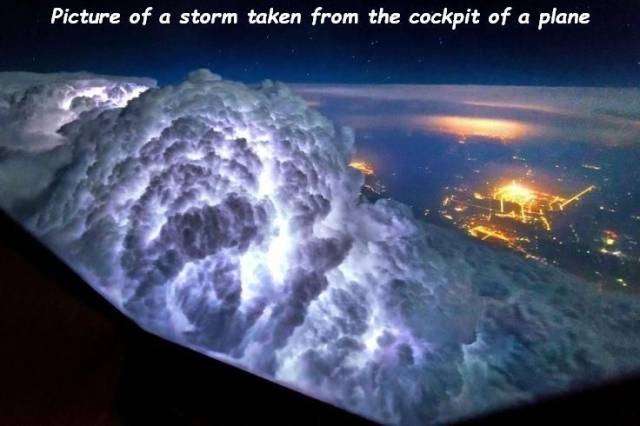 Acid Picdump (93 pics)