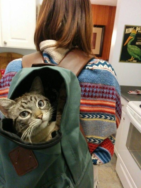 Acid Picdump (93 pics)