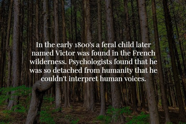 Scary Facts (20 pics)