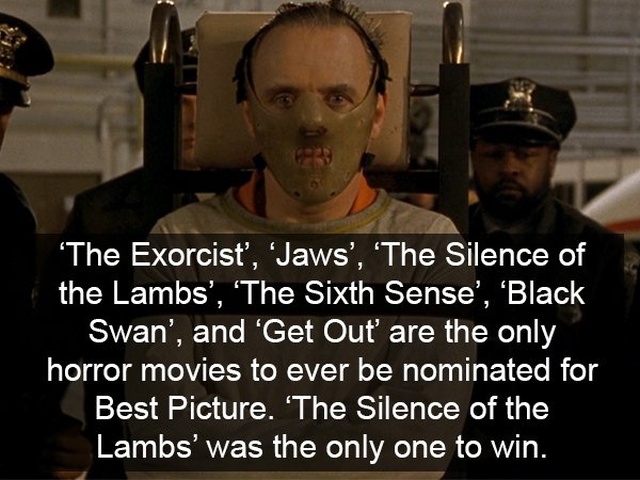 Facts About Horror Movies (17 pics)