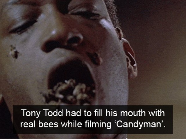 Facts About Horror Movies (17 pics)
