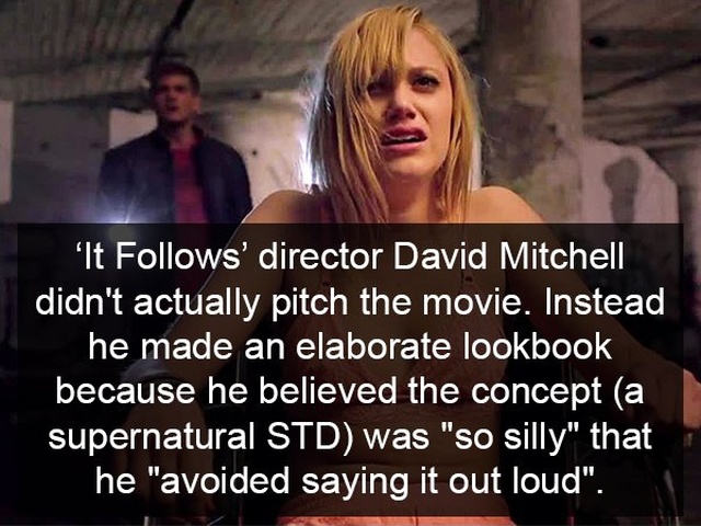 Facts About Horror Movies (17 pics)