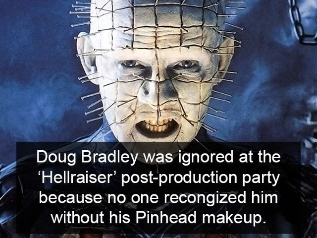 Facts About Horror Movies (17 pics)