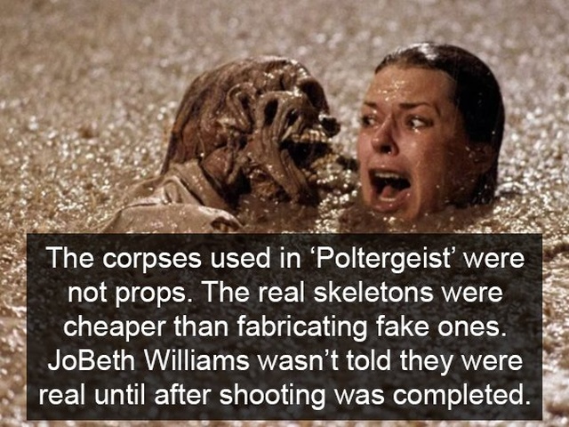 Facts About Horror Movies (17 pics)