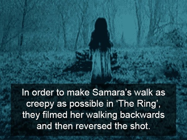 Facts About Horror Movies (17 pics)