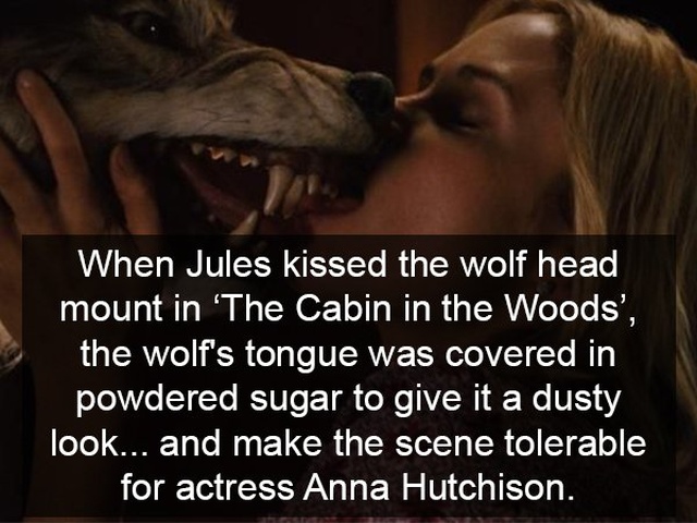 Facts About Horror Movies (17 pics)