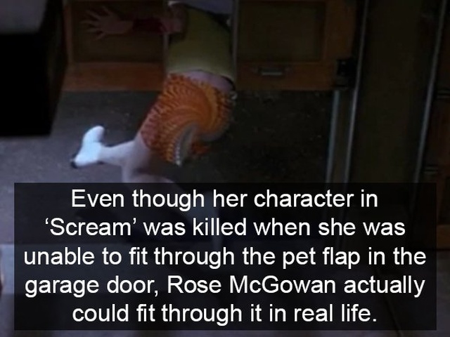 Facts About Horror Movies (17 pics)