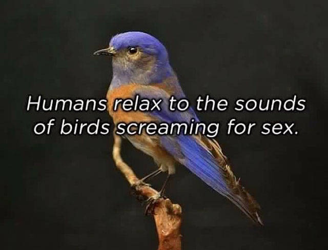 So True (44 pics)