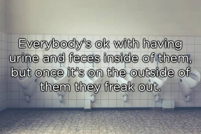 Shower Thoughts (20 pics)