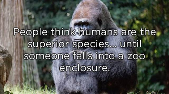 Shower Thoughts (20 pics)