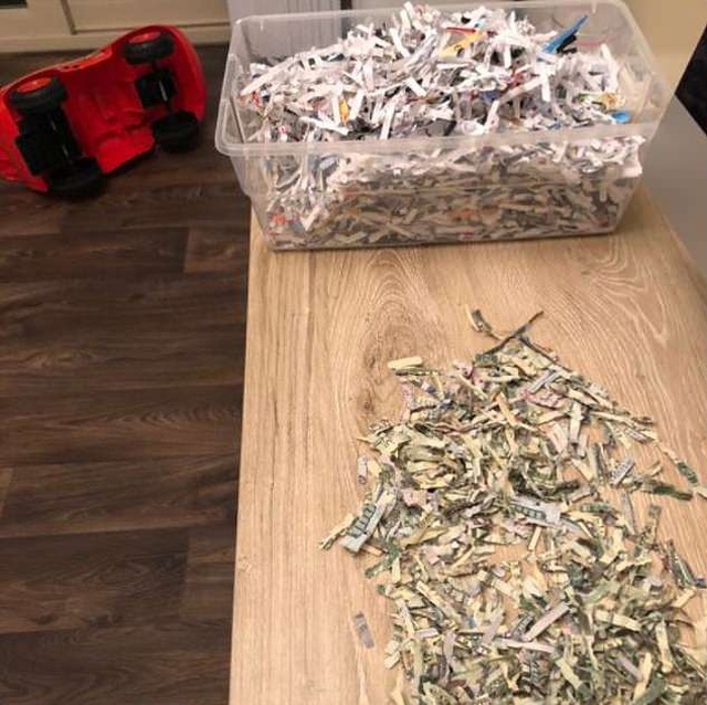 Two-year-old Shred $1,060 That His Parents Were Saving For College Football Season Tickets (3 pics)