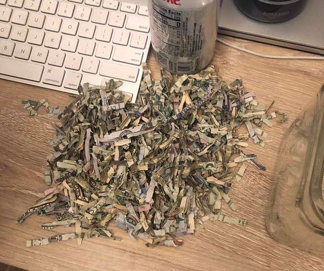 Two-year-old Shred $1,060 That His Parents Were Saving For College Football Season Tickets (3 pics)