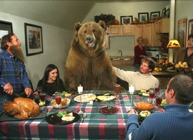 Acid Picdump (97 pics)
