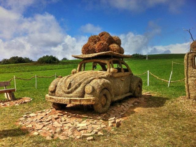 Acid Picdump (97 pics)