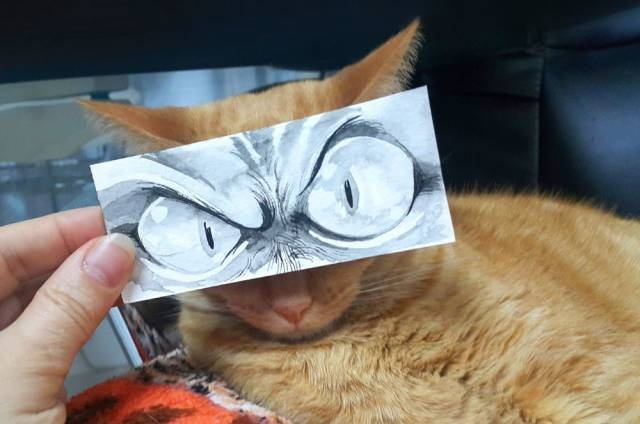 Acid Picdump (97 pics)